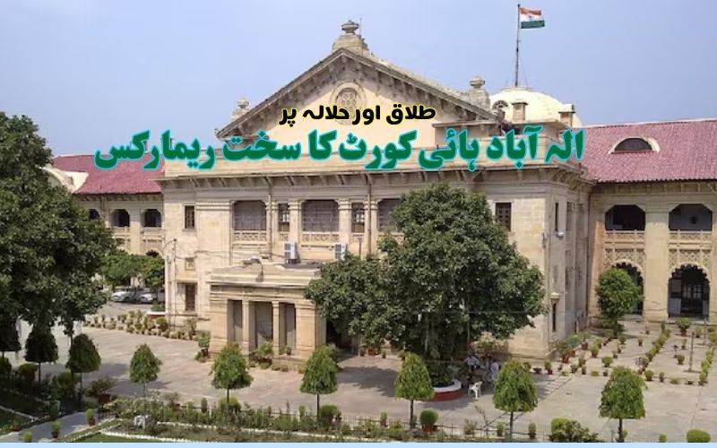 ٹرپل طلاق اور حلالہ کی آڑ میں جنسی استحصال ناقابل قبول:الہ آباد ہائی کورٹ
